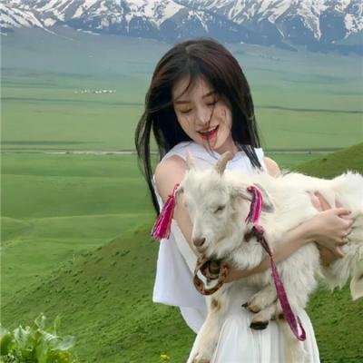 天下第一拳